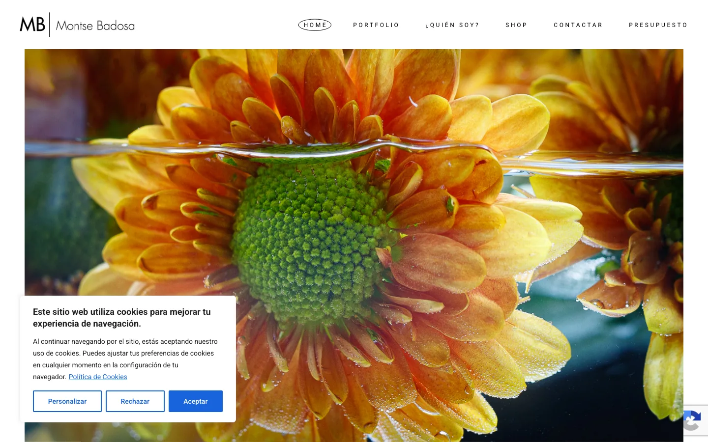 Web Montse Badosa, coaching